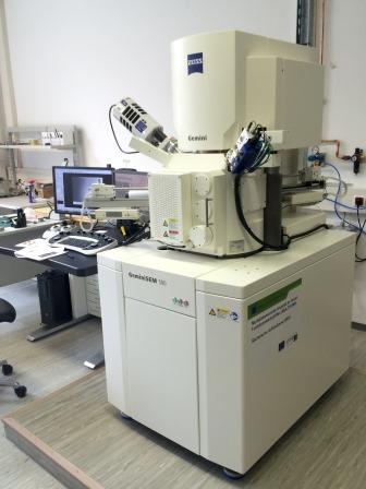Zeiss Gemini SEM500 at DCN